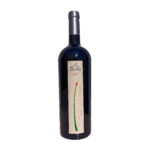 Vino Cabernet Sauvignon 2023