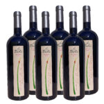Vino Cabernet Sauvignon 2023 (x6)