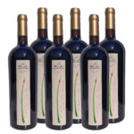 Vino Carmenere 2023 (x6)